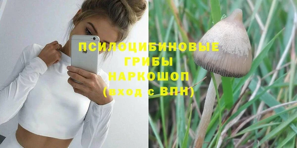 гашик Володарск