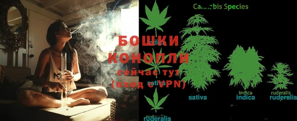 гашик Володарск